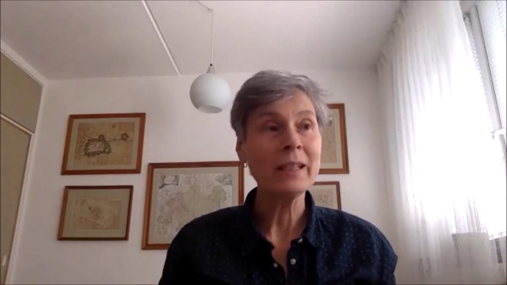 SALC UG Scholars 1920: Researching LGBTQ History - Screenshot of the zoom call with one of the presenters