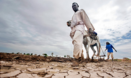 man and woman with cattle on a dried out riverbed.